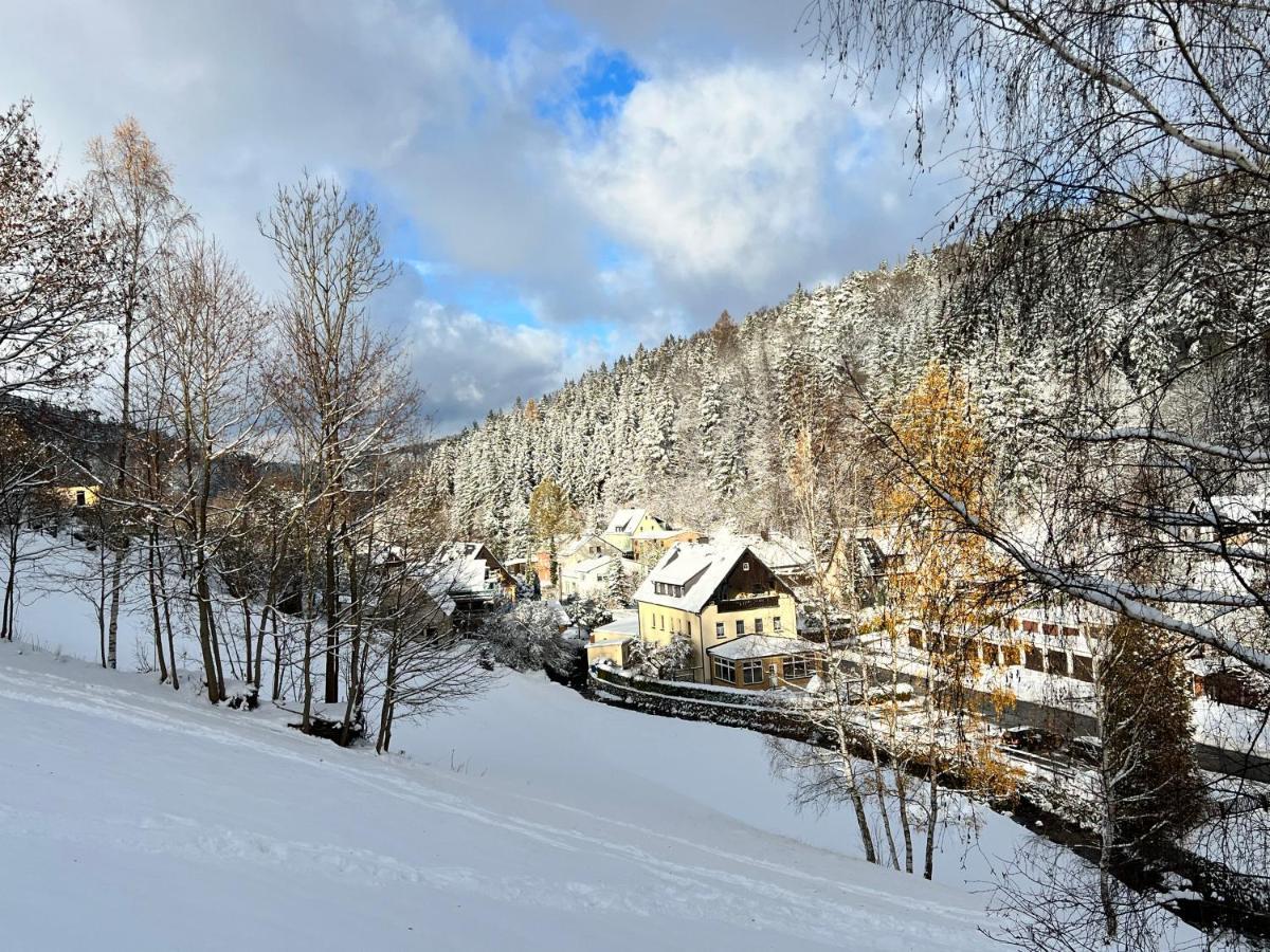 Urige Berghuette Mit Kamin Und Sauna Im Erzgebirge Nahe Schwarzwassertal Pobershau Bagian luar foto