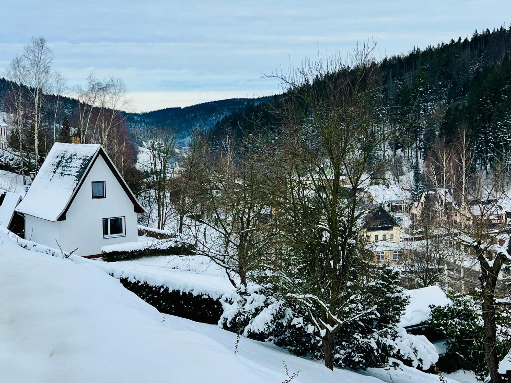Urige Berghuette Mit Kamin Und Sauna Im Erzgebirge Nahe Schwarzwassertal Pobershau Bagian luar foto